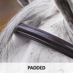 Premier® Premier Petite Raised Padded Bridle -Schneiders Shop 42457 feature b overlay