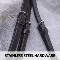 Premier® Premier Petite Raised Padded Bridle -Schneiders Shop 42457 feature c overlay