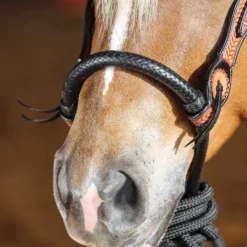 Double S Tooled Browband Bosal Set -Schneiders Shop 42527 alt b