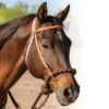 Professional's Choice® Loping Hackamore 2 Professional's Choice® Loping Hackamore -Schneiders Shop 42697