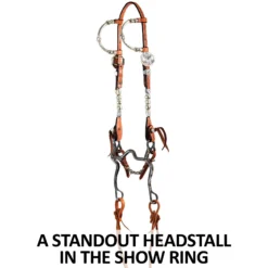 Schneiders Shop -Schneiders Shop 43172 feature a overlay