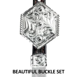 Billy Royal® Arrowhead One Ear Show Headstall -Schneiders Shop 43178 feature c overlay