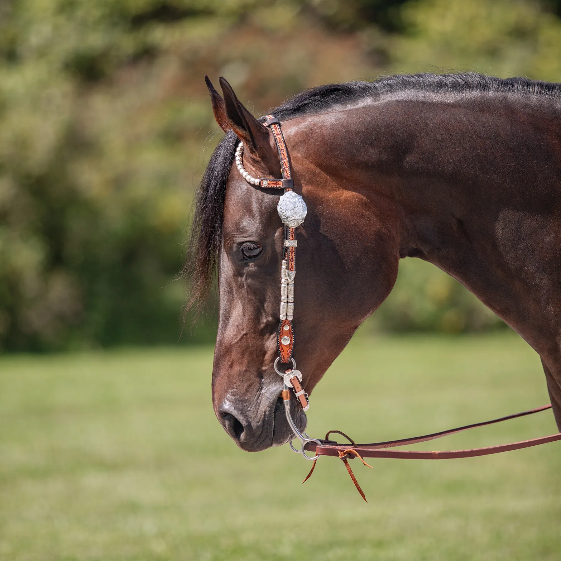 Double S Two Ear Wave Western Show Headstall 3 Double S Two Ear Wave Western Show Headstall