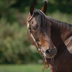 Double S Two Ear Wave Western Show Headstall 19 Double S Two Ear Wave Western Show Headstall -Schneiders Shop 43436 alt g