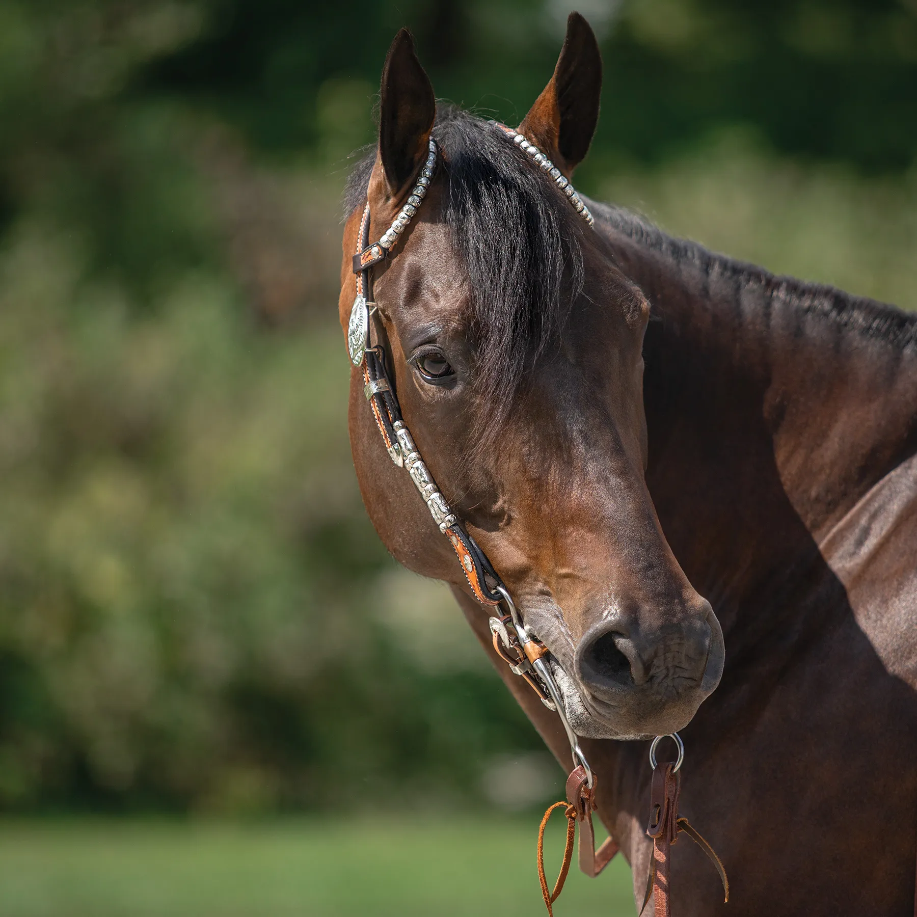 Double S Two Ear Wave Western Show Headstall 10 Double S Two Ear Wave Western Show Headstall - Image 8