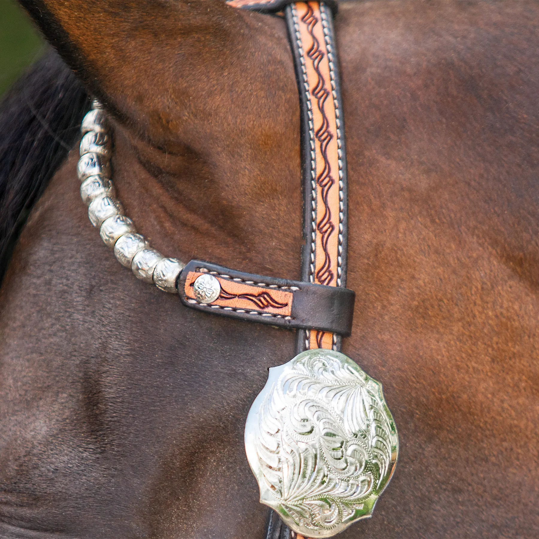 Double S Two Ear Wave Western Show Headstall 11 Double S Two Ear Wave Western Show Headstall - Image 9