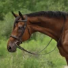 Schneiders® Flat Padded Hunter Bridle With Fancy Stitching -Schneiders Shop 44897