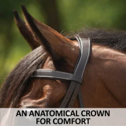 Schneiders® Flat Padded Hunter Bridle With Fancy Stitching -Schneiders Shop 44897 feature b overlay