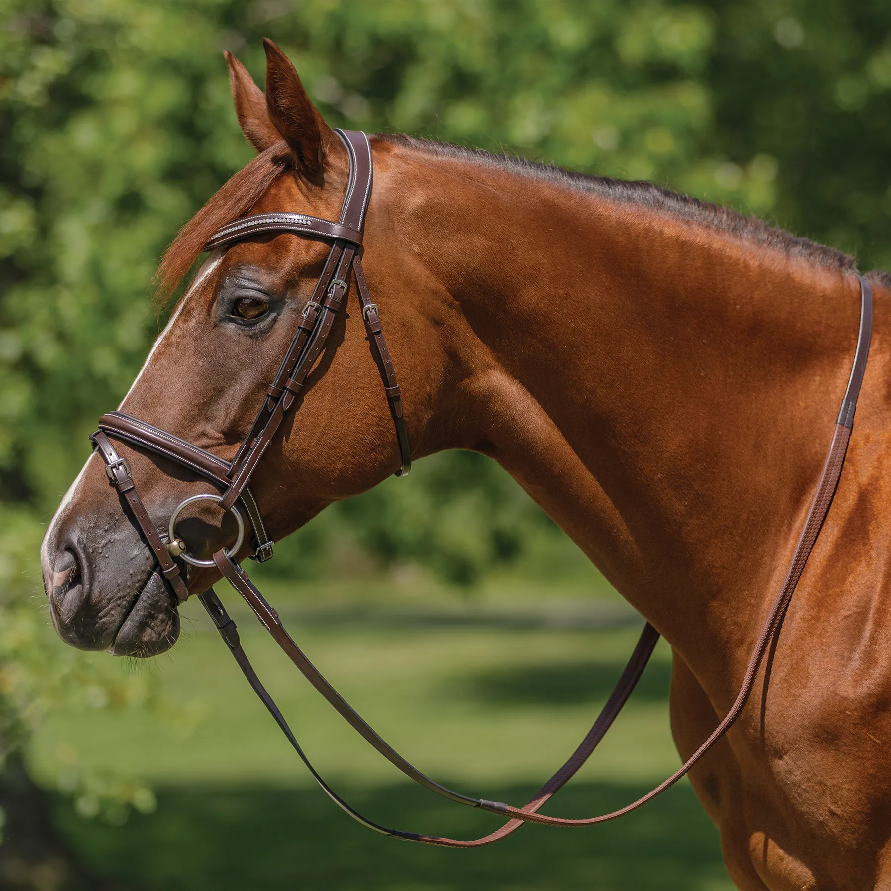 Schneiders® Monocrown Flash Bridle With Crystal Swoop Browband 3 Schneiders® Monocrown Flash Bridle With Crystal Swoop Browband