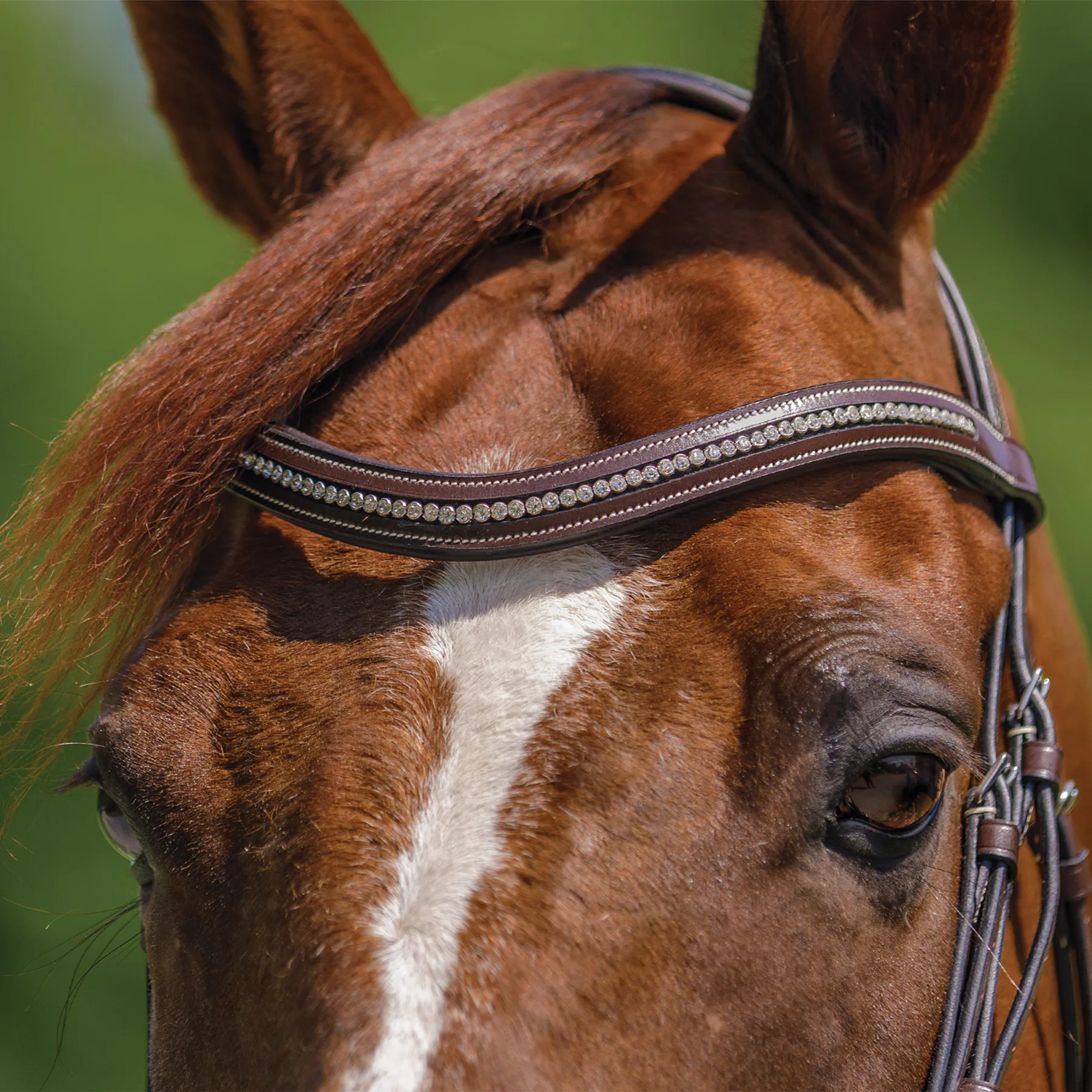 Schneiders® Monocrown Flash Bridle With Crystal Swoop Browband 9 Schneiders® Monocrown Flash Bridle With Crystal Swoop Browband - Image 7