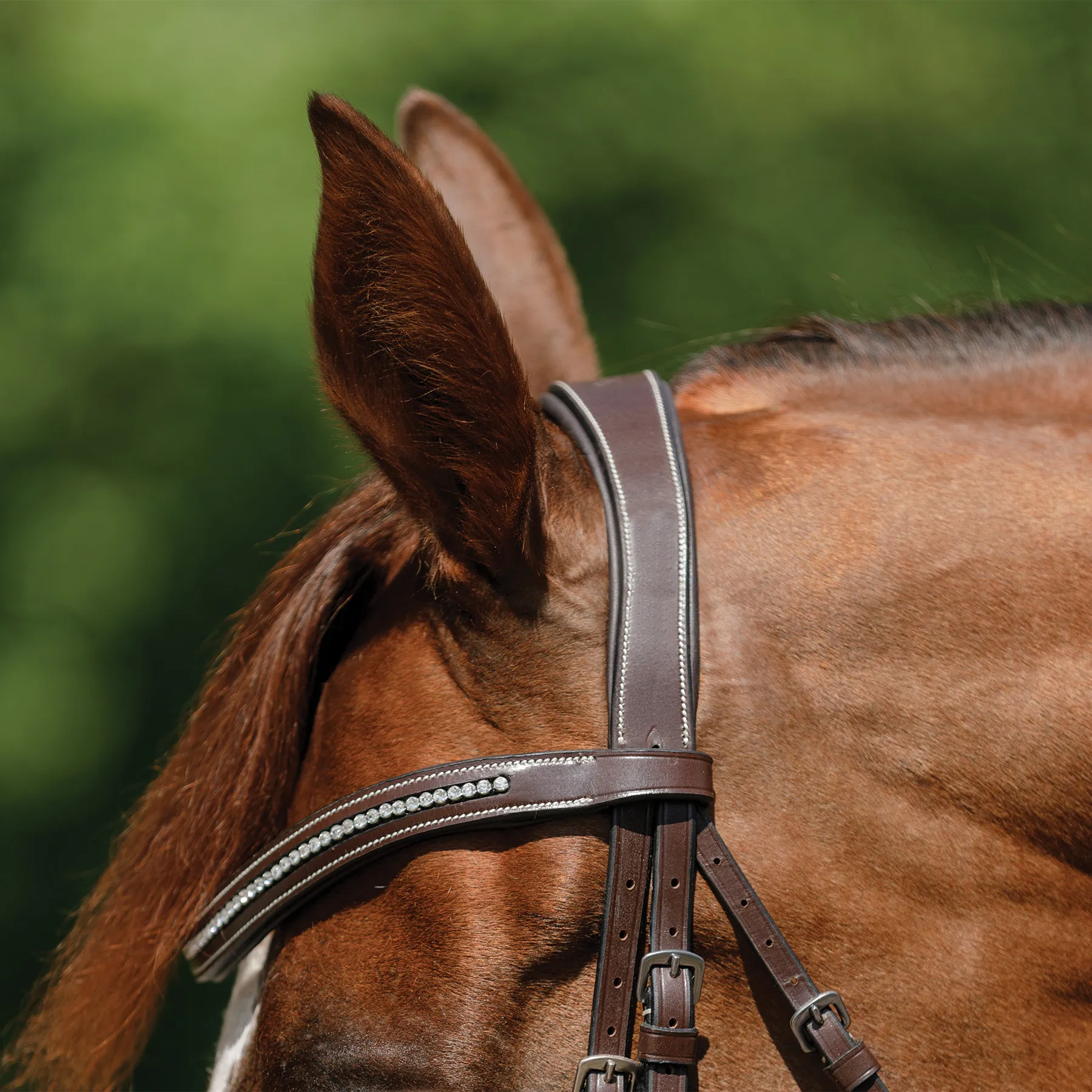 Schneiders® Monocrown Flash Bridle With Crystal Swoop Browband 10 Schneiders® Monocrown Flash Bridle With Crystal Swoop Browband - Image 8