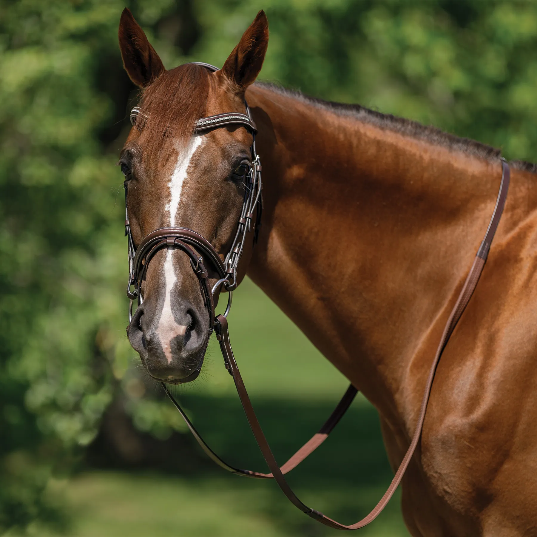 Schneiders® Monocrown Flash Bridle With Crystal Swoop Browband 11 Schneiders® Monocrown Flash Bridle With Crystal Swoop Browband - Image 9