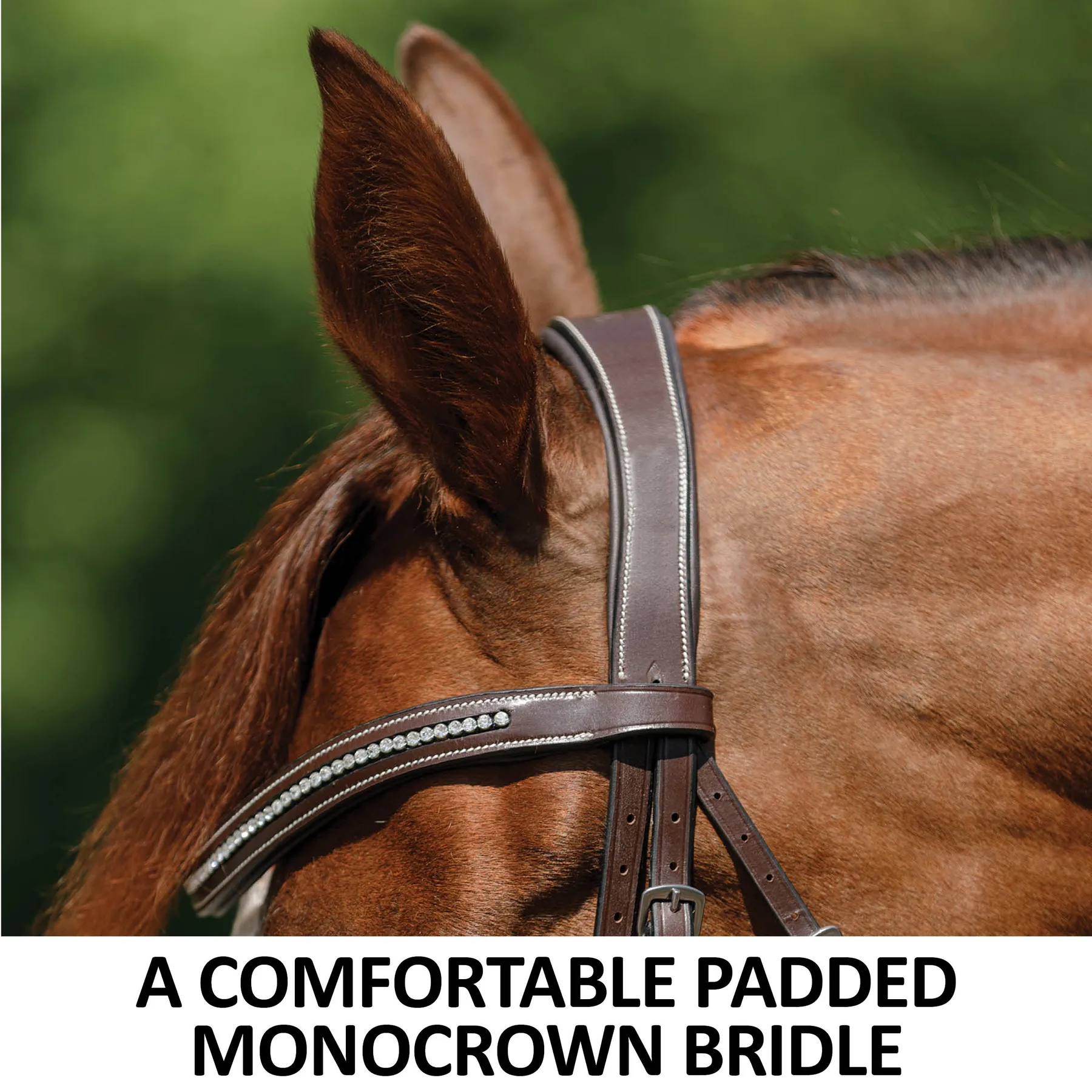 Schneiders® Monocrown Flash Bridle With Crystal Swoop Browband 5 Schneiders® Monocrown Flash Bridle With Crystal Swoop Browband - Image 3