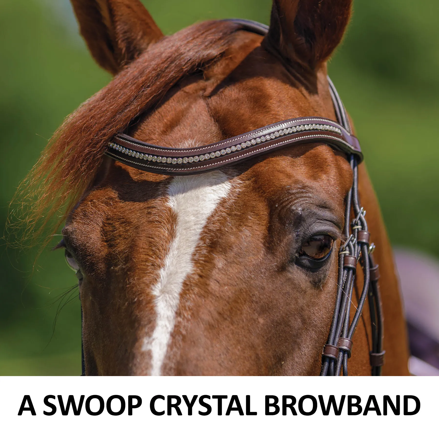 Schneiders® Monocrown Flash Bridle With Crystal Swoop Browband 6 Schneiders® Monocrown Flash Bridle With Crystal Swoop Browband - Image 4