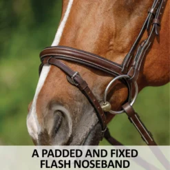 Schneiders® Monocrown Flash Bridle With Crystal Swoop Browband 19 Schneiders® Monocrown Flash Bridle With Crystal Swoop Browband -Schneiders Shop 44900 feature d overlay