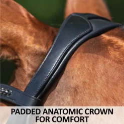 Schneiders® Ergonomic Monocrown Dressage Bridle With Crank Noseband -Schneiders Shop 44959 feature b overlay