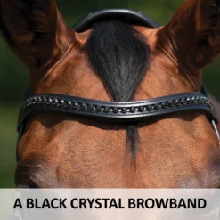 Schneiders® Ergonomic Monocrown Dressage Bridle With Crank Noseband -Schneiders Shop 44959 feature c overlay