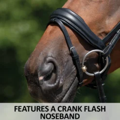 Schneiders® Ergonomic Monocrown Dressage Bridle With Crank Noseband -Schneiders Shop 44959 feature d overlay