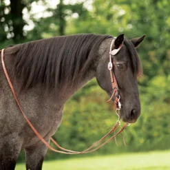 Double S Two-Tone Flower One-Ear Headstall