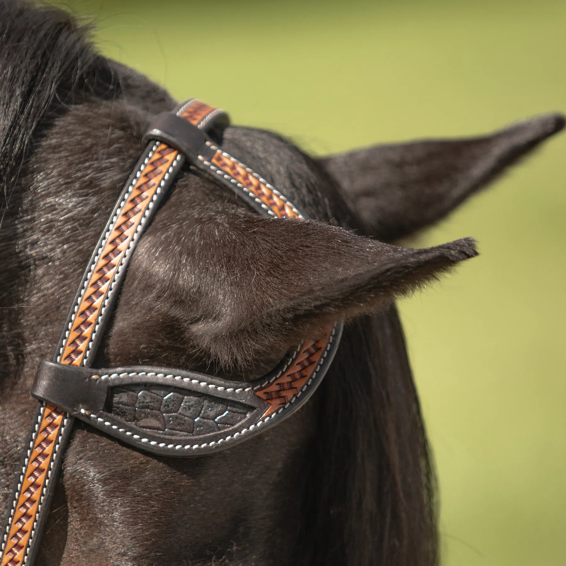 Double S Croc Print Inlay One Ear Headstall 9 Double S Croc Print Inlay One Ear Headstall - Image 7