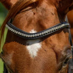 Schneiders® Ergonomic Monocrown Dressage Double Bridle With Crank Noseband -Schneiders Shop 45372 alt b