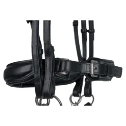 Schneiders® Ergonomic Monocrown Dressage Double Bridle With Crank Noseband -Schneiders Shop 45372 alt c
