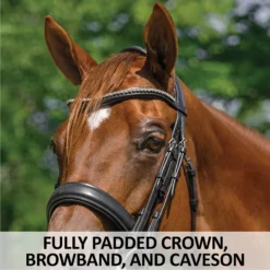 Schneiders® Ergonomic Monocrown Dressage Double Bridle With Crank Noseband -Schneiders Shop 45372 feature b overlay