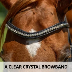 Schneiders® Ergonomic Monocrown Dressage Double Bridle With Crank Noseband -Schneiders Shop 45372 feature c overlay