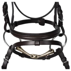 Schneiders® Traditional Padded Flash Noseband Bridle -Schneiders Shop 45413 alt f