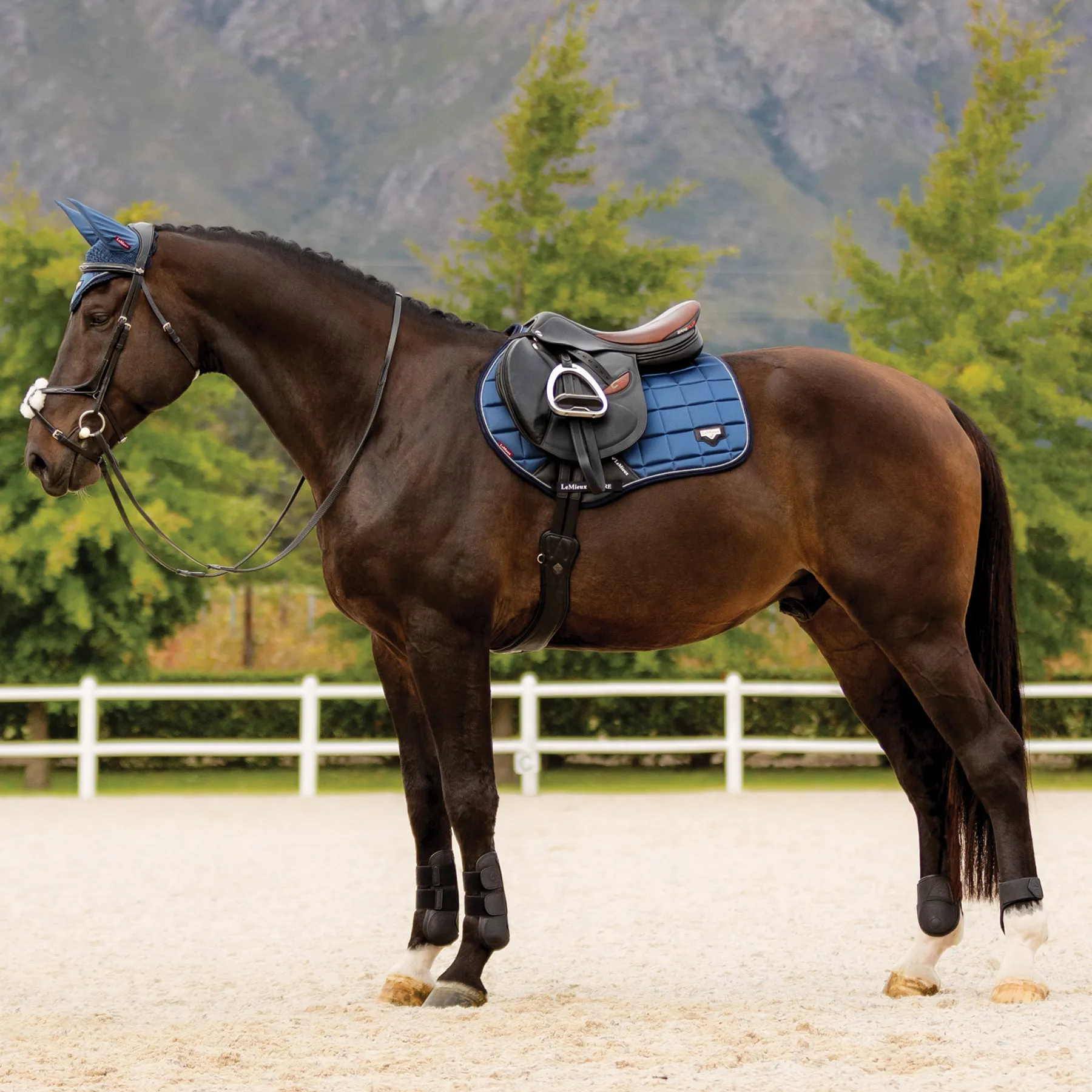 LeMieux® Loire Classic Close Contact Saddle Pad 9 LeMieux® Loire Classic Close Contact Saddle Pad - Image 7